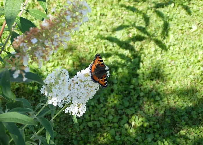 Apartamento Blaues Haus - Maison Bleue Hetzerath