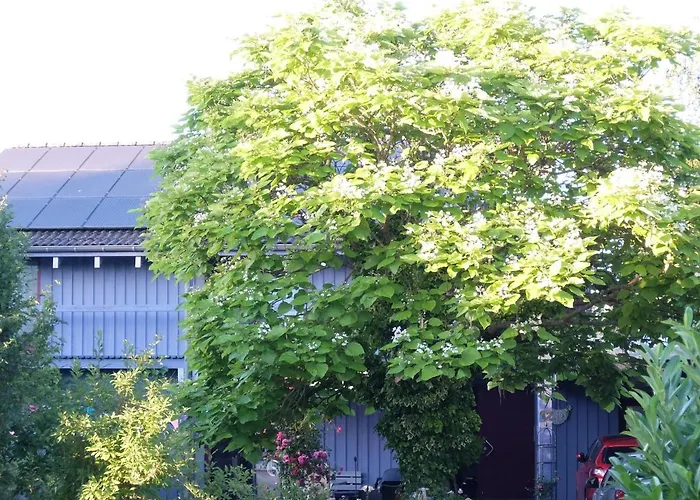 Blaues Haus - Maison Bleue * Hetzerath